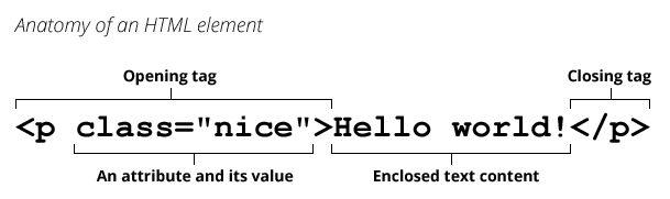 html-anatomie